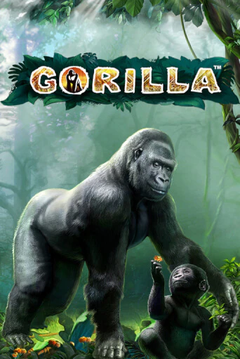 Бесплатная игра Gorilla | Вулкан Казино играть онлайн